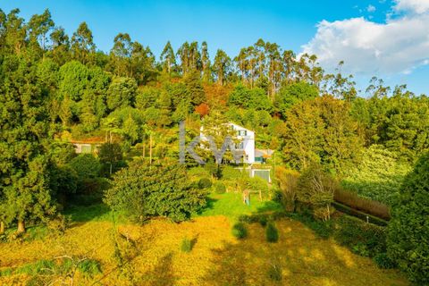 Farm i Machico, Madeira, Machico - € 1.550.000 | Ref: KWPT-006613 - foto 7