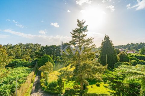 Farm i Machico, Madeira, Machico - € 1.550.000 | Ref: KWPT-006613 - foto 17