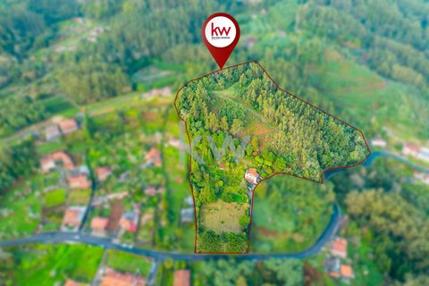 Farm i Machico, Madeira, Machico - € 1.550.000 | Ref: KWPT-006613 - foto 34