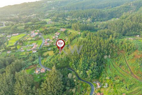 Farm i Machico, Madeira, Machico - € 1.550.000 | Ref: KWPT-006613 - foto 35