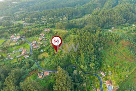 Farm i Machico, Madeira, Machico - € 1.550.000 | Ref: KWPT-006613 - foto 36