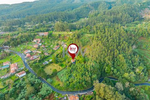 Farm i Machico, Madeira, Machico - € 1.550.000 | Ref: KWPT-006613 - foto 37