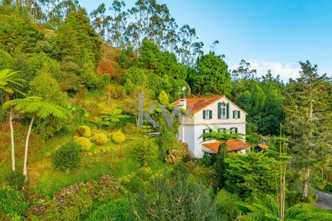 Farm i Machico, Madeira, Machico - € 1.550.000 | Ref: KWPT-006613 - foto 5