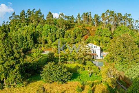 Farm i Machico, Madeira, Machico - € 1.550.000 | Ref: KWPT-006613 - foto 41
