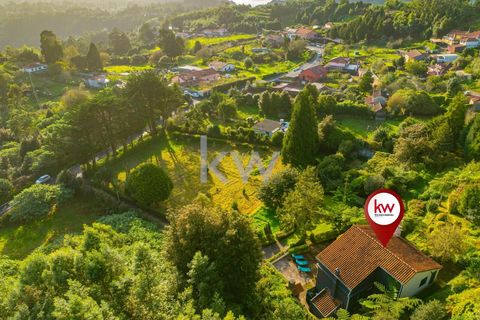 Farm i Machico, Madeira, Machico - € 1.550.000 | Ref: KWPT-006613 - foto 42