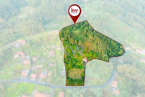 Farm i Machico, Madeira, Machico - € 1.550.000 | Ref: KWPT-006613 - foto 43