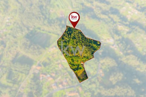 Farm i Machico, Madeira, Machico - € 1.550.000 | Ref: KWPT-006613 - foto 44