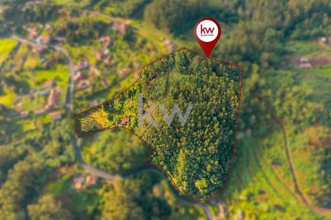 Farm i Machico, Madeira, Machico - € 1.550.000 | Ref: KWPT-006613 - foto 45