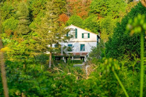 Farm i Machico, Madeira, Machico - € 1.550.000 | Ref: KWPT-006613 - foto 47