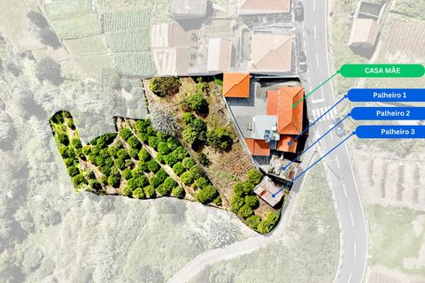 Byhus i Calheta, Madeira, Calheta - € 670.000 | Ref: KWPT-008650 - foto 4
