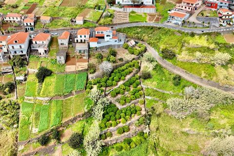 Byhus i Calheta, Madeira, Calheta - € 670.000 | Ref: KWPT-008650 - foto 7