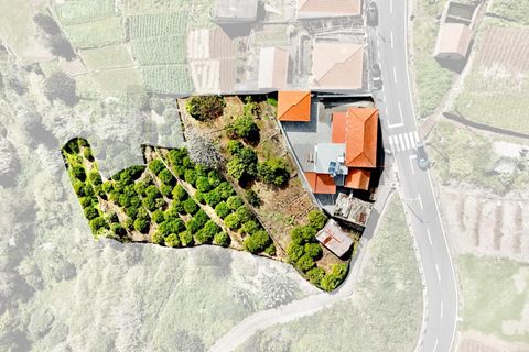 Byhus i Calheta, Madeira, Calheta - € 670.000 | Ref: KWPT-008650 - foto 28