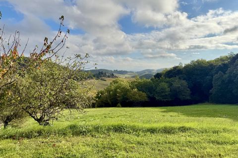 Villa i Limoux, Aude, Limoux - € 790.000 | Ref: BVI77442 - foto 13