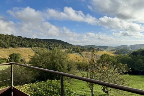 Villa i Limoux, Aude, Limoux - € 790.000 | Ref: BVI77442 - foto 2