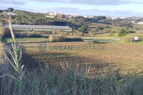 Helårsgrund i Torres Vedras, Lisbon, Torres Vedras - € 170.000 | Ref: UH011379 - foto 2