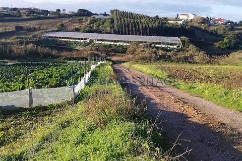 Helårsgrund i Torres Vedras, Lisbon, Torres Vedras - € 170.000 | Ref: UH011379 - foto 3