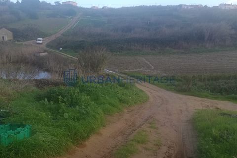 Helårsgrund i Torres Vedras, Lisbon, Torres Vedras - € 170.000 | Ref: UH011379 - foto 4