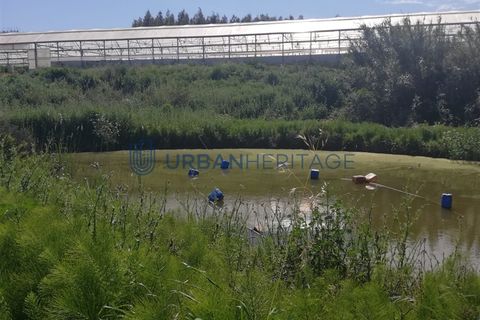 Helårsgrund i Torres Vedras, Lisbon, Torres Vedras - € 170.000 | Ref: UH011379 - foto 5