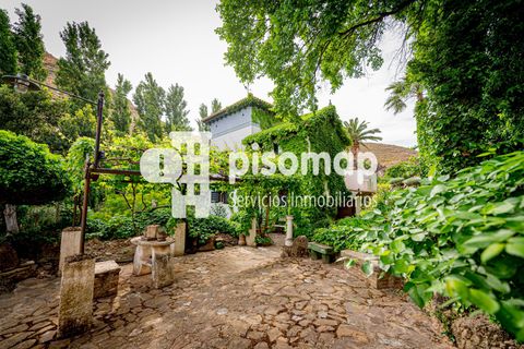 Cortijo i Antequera, Malaga - foto 3