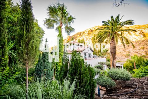 Cortijo i Antequera, Malaga, Antequera - € 890.000 | Ref: CV1890/1512 - foto 7