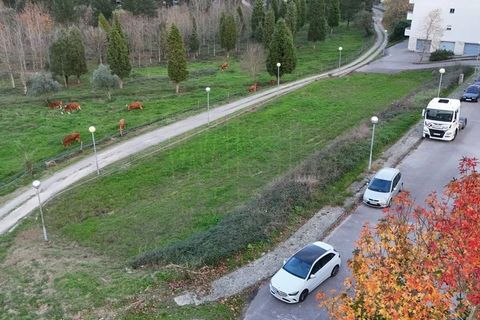 Tomt i Mealhada, Aveiro, Mealhada - € 90 000 | Ref: WISECBRHC-TE244 - foto 6