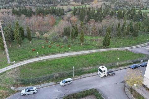 Tomt i Mealhada, Aveiro, Mealhada - € 90 000 | Ref: WISECBRHC-TE244 - foto 9