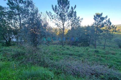 Helårsgrund i Pombal, Leiria, Pombal - € 250.000 | Ref: ANG1294 - foto 6