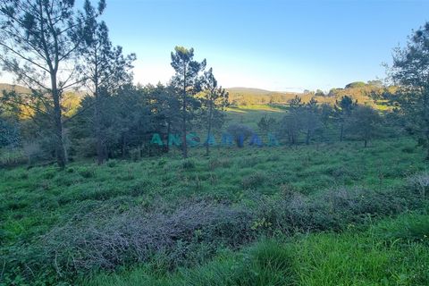 Helårsgrund i Pombal, Leiria, Pombal - € 250.000 | Ref: ANG1294 - foto 5