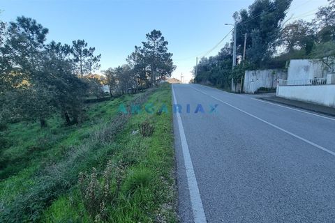 Helårsgrund i Pombal, Leiria, Pombal - € 250.000 | Ref: ANG1294 - foto 7