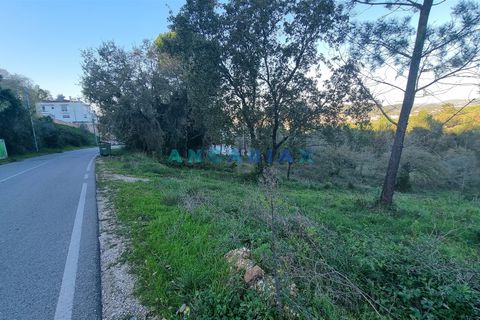 Helårsgrund i Pombal, Leiria, Pombal - € 250.000 | Ref: ANG1294 - foto 8