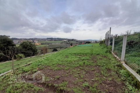 Helårsgrund i Barcelos, Braga, Barcelos - € 147.500 | Ref: 230/24 - foto 5