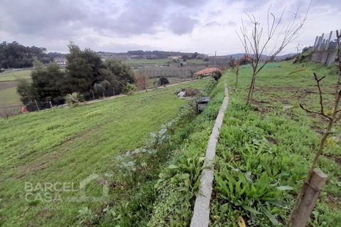 Helårsgrund i Barcelos, Braga, Barcelos - € 147.500 | Ref: 230/24 - foto 6