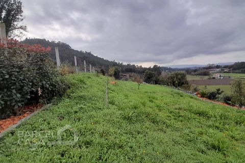 Helårsgrund i Barcelos, Braga, Barcelos - € 147.500 | Ref: 230/24 - foto 8