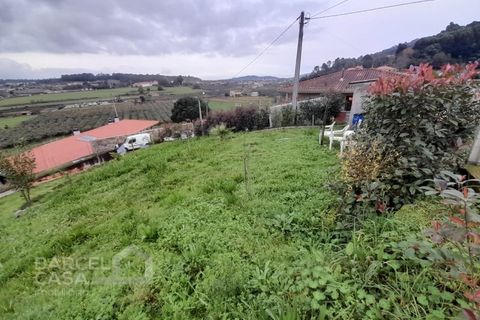 Helårsgrund i Barcelos, Braga, Barcelos - € 147.500 | Ref: 230/24 - foto 9