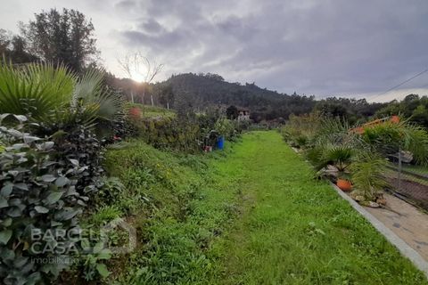 Helårsgrund i Barcelos, Braga, Barcelos - € 147.500 | Ref: 230/24 - foto 16