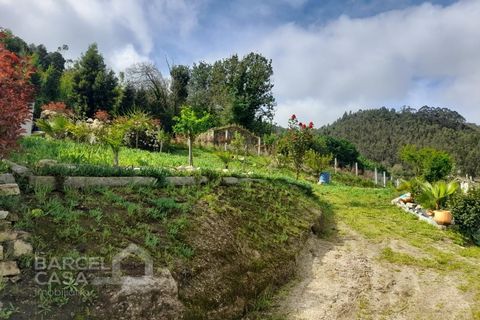 Helårsgrund i Barcelos, Braga, Barcelos - € 147.500 | Ref: 230/24 - foto 4
