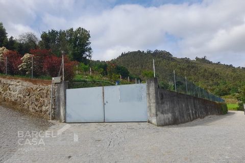 Helårsgrund i Barcelos, Braga, Barcelos - € 147.500 | Ref: 230/24 - foto 17
