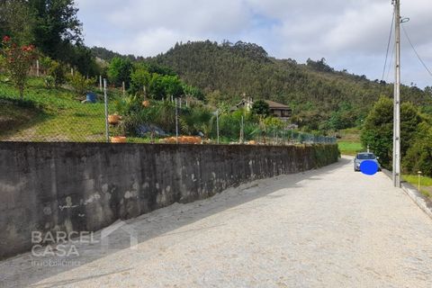 Helårsgrund i Barcelos, Braga, Barcelos - € 147.500 | Ref: 230/24 - foto 18