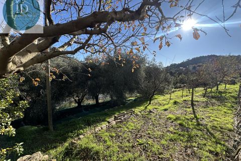 Villa i Ventimiglia, Imperia, Ventimiglia - € 590.000 | Ref: 183 - foto 6