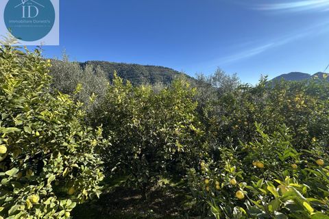 Villa i Ventimiglia, Imperia, Ventimiglia - € 590.000 | Ref: 183 - foto 8