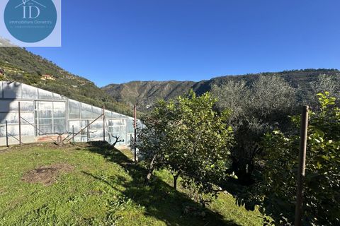 Villa i Ventimiglia, Imperia, Ventimiglia - € 590.000 | Ref: 183 - foto 11