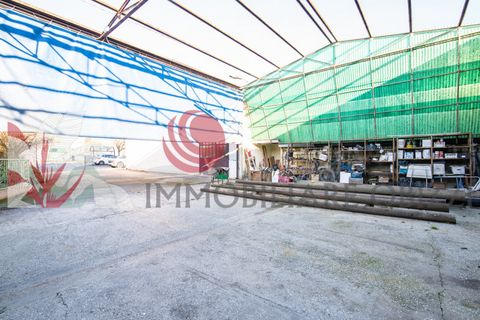 Villa a Cartura, Padua, Cartura - € 230.000 | Ref: AN2148VRL - foto 14