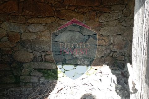 Villa i Viseu, Viseu, Viseu - € 67.500 | Ref: 2134/V - foto 7