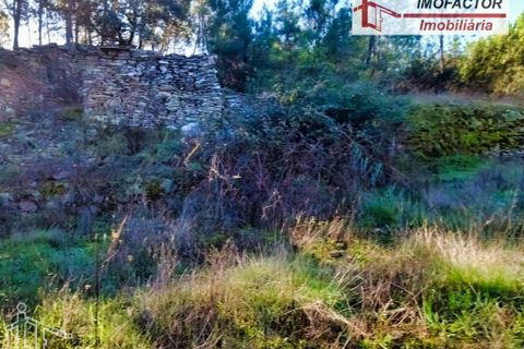 Helårsgrund i Castelo Branco, Castelo Branco, Castelo Branco - € 19.500 | Ref: 21-11850 - foto 1