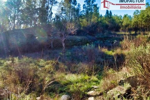 Helårsgrund i Castelo Branco, Castelo Branco, Castelo Branco - € 19.500 | Ref: 21-11850 - foto 11