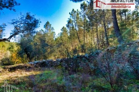 Helårsgrund i Castelo Branco, Castelo Branco, Castelo Branco - € 19.500 | Ref: 21-11850 - foto 12