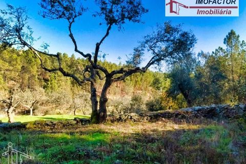 Helårsgrund i Castelo Branco, Castelo Branco, Castelo Branco - € 19.500 | Ref: 21-11850 - foto 13