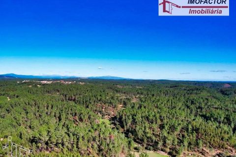 Helårsgrund i Castelo Branco, Castelo Branco, Castelo Branco - € 19.500 | Ref: 21-11850 - foto 16