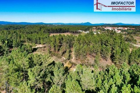 Helårsgrund i Castelo Branco, Castelo Branco, Castelo Branco - € 9.500 | Ref: 21-11851 - foto 5