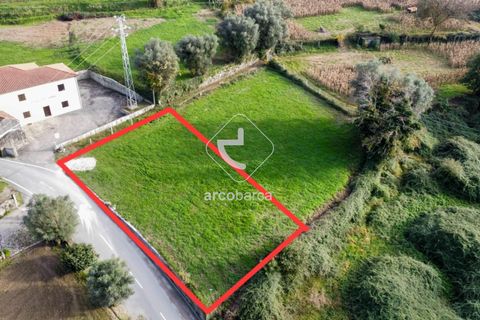 Helårsgrund i Ponte de Lima, Viana do Castelo, Ponte de Lima - € 45.000 | Ref: AV6175 - foto 3
